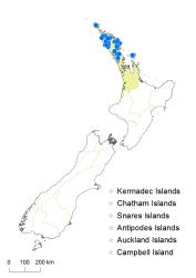 Dicksonia lanata subsp hispida distribution map based on databased records at AK, CHR and WELT. 
 Image: K. Boardman © Landcare Research 2015 CC BY 3.0 NZ